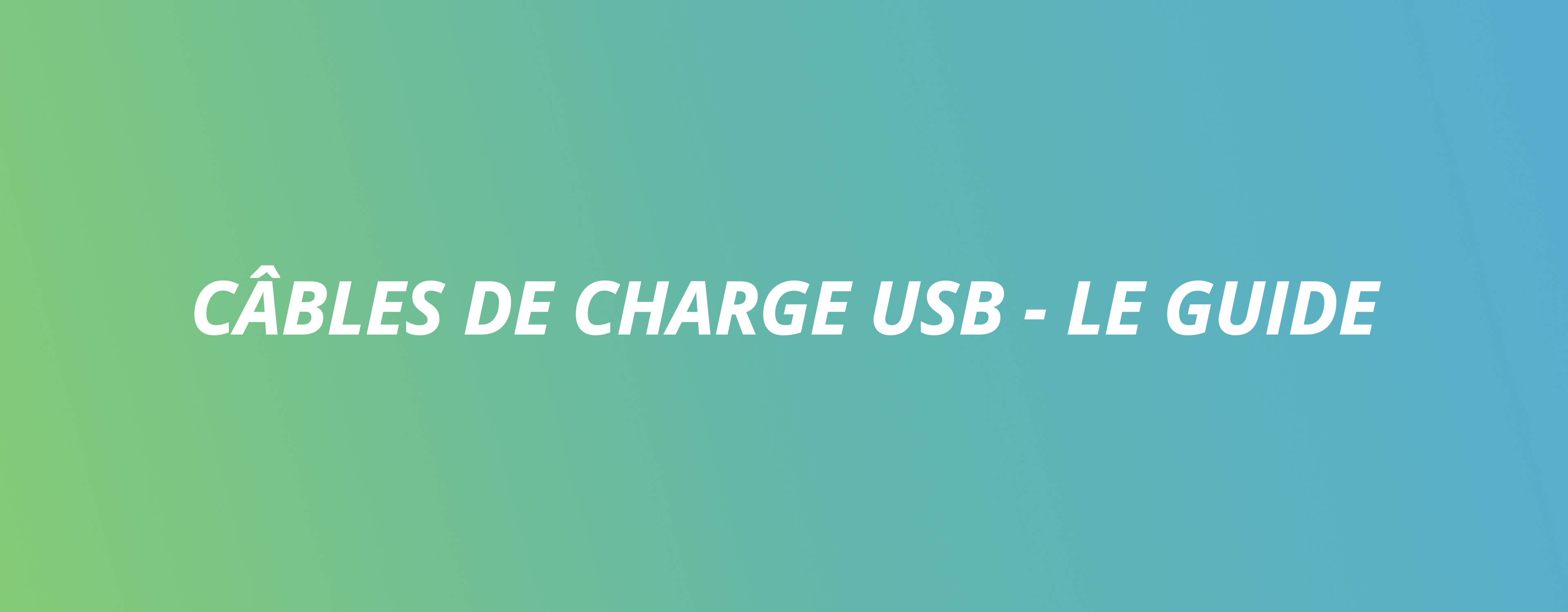 Câble de charge USB - Le Guide - par eBike24